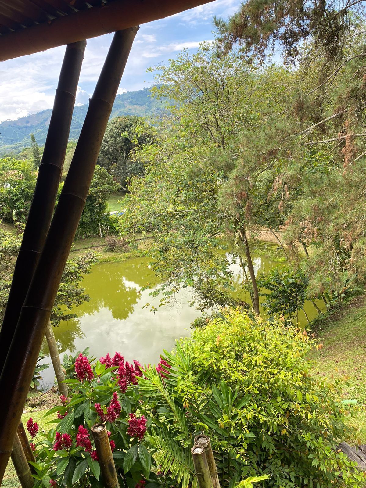 Área da propriedade