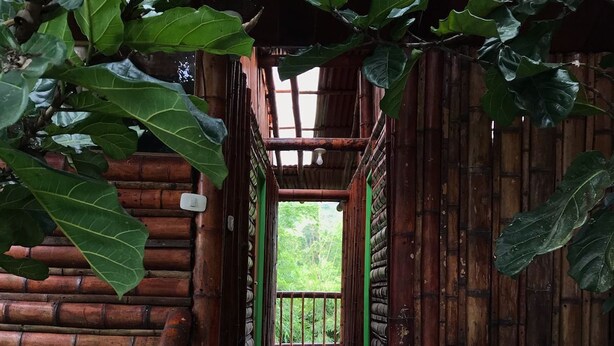 A bamboo structure with a wooden staircase leading to a covered area. - Beautiful 9-bedroom bed & breakfast in adorable Pereira (Pereira)