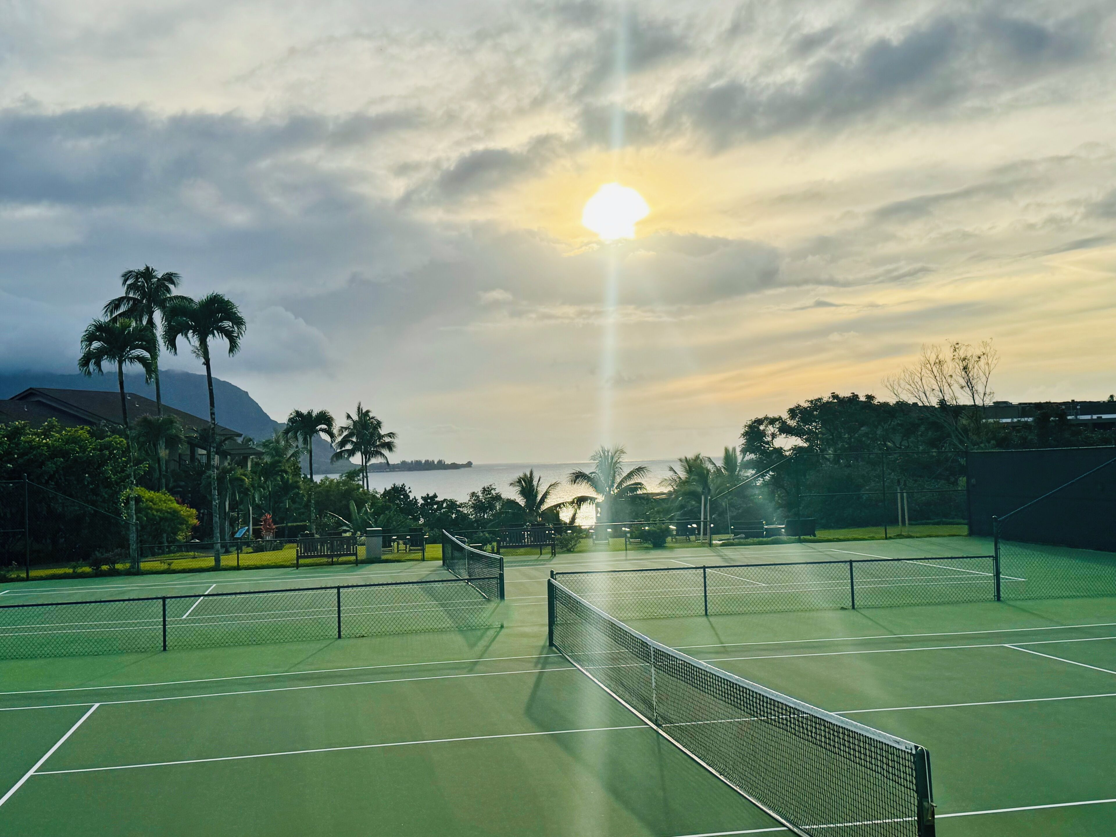A tennis court with a net, surrounded by palm trees and a view of the ocean.