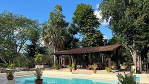 Un espace piscine doté d’un coin salon abrité, entouré de plantes en pot et d’arbres.