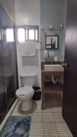 Double or Twin Room | Bathroom | Shower, towels, soap, shampoo