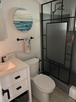 Shower, hair dryer, bidet, towels