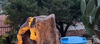 Luxury Villa in Porto Cervo