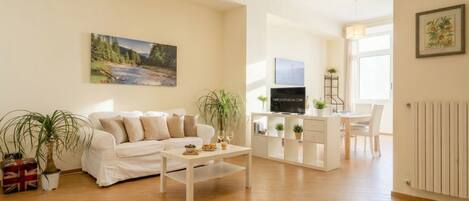 Flat-screen TV