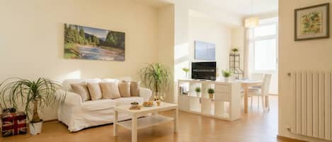 Flat-screen TV