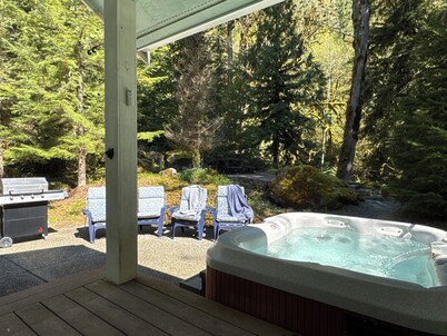 Home in the woods with private Creek & Hot tub near North Cascades National Park