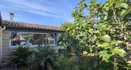Cosy house - Garden and terrace