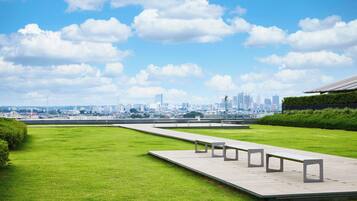 Servicio de la propiedad