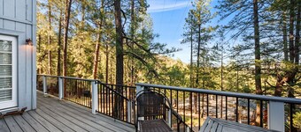 Beautiful forest retreat with stunning views