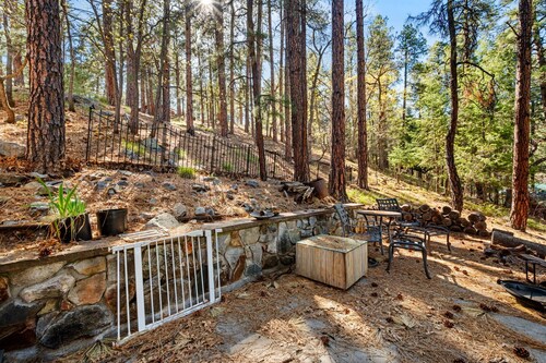 Beautiful forest retreat with stunning views