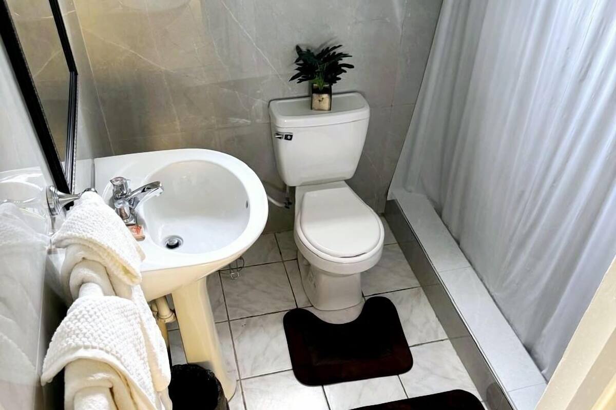 Un baño con inodoro, lavamanos y bañera. Hay toallas en la pared y una planta sobre el tanque del inodoro.