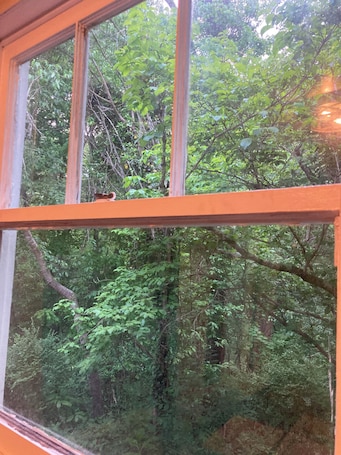 Interior. Hillside Hideaway
