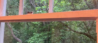 Hillside Hideaway