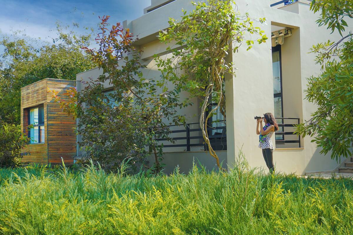 A modern building with a large window, a small wooden structure, and a person taking a photo.
