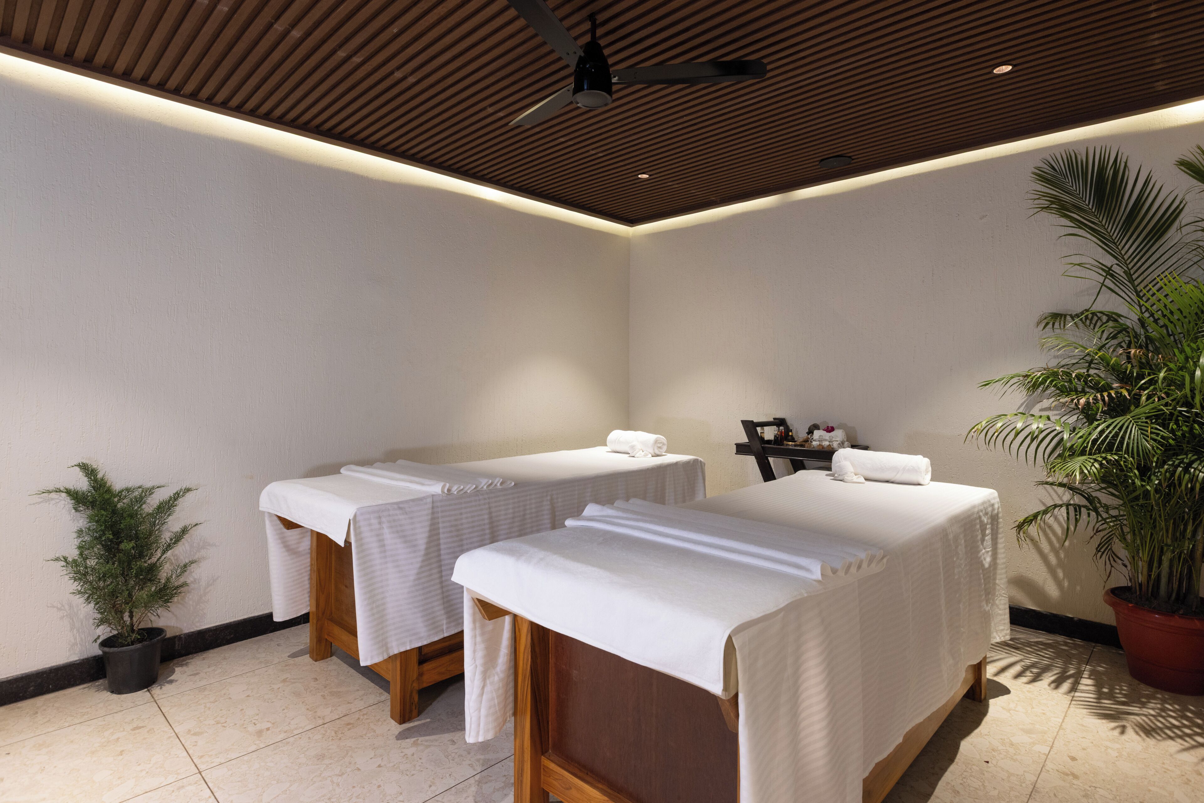 A room with two massage tables, a ceiling fan, a potted plant, and a small table with items.