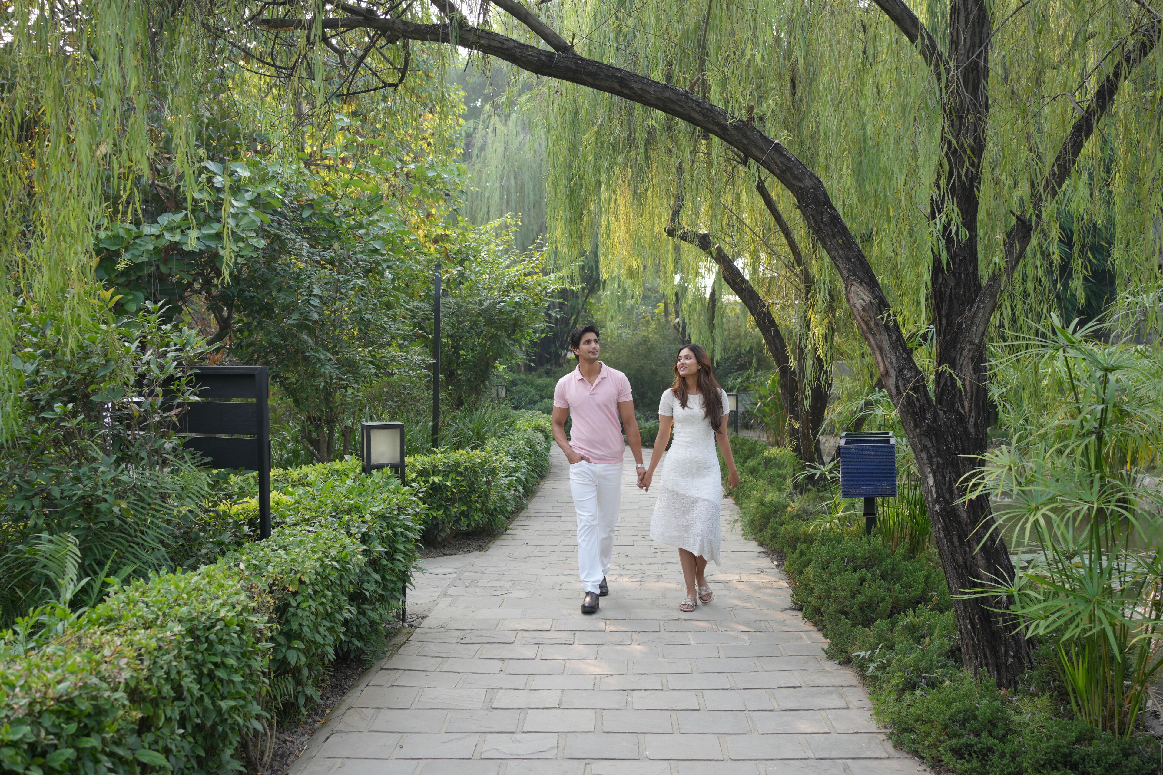 A pathway lined with trees and greenery, leading to a building with a signboard.