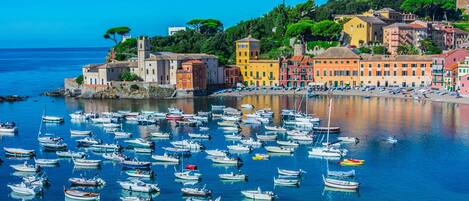 Experience the charm of a traditional Mediterranean coastal town, where historic buildings meet a vibrant marina.