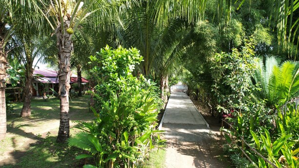 Un sendero bordeado de palmeras y plantas tropicales que conduce a un edificio con techo rojo.