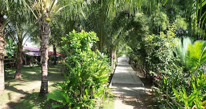 Coconut homstay