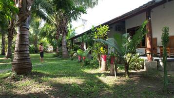 Jardin
