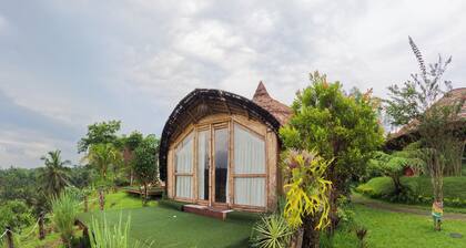 Aranka Tempasan
