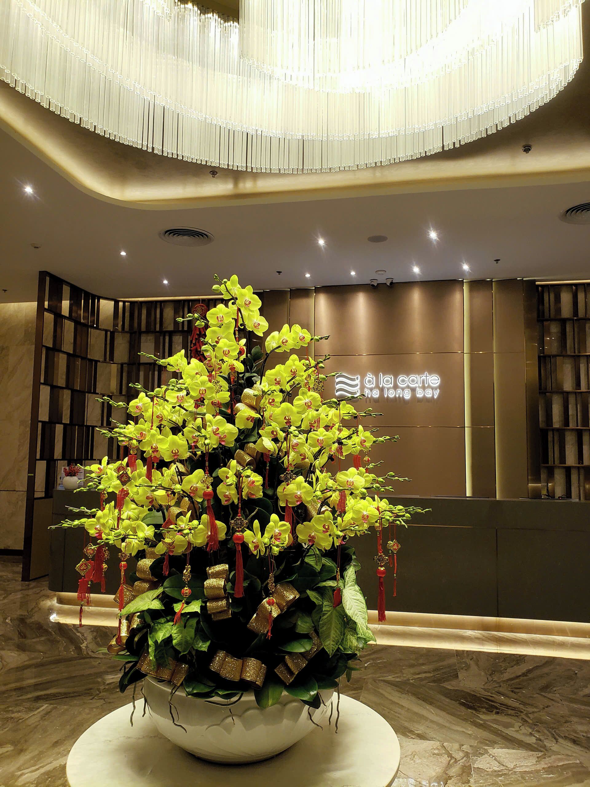 A reception area with a large potted orchid plant, a modern chandelier, and a wall with a sign.