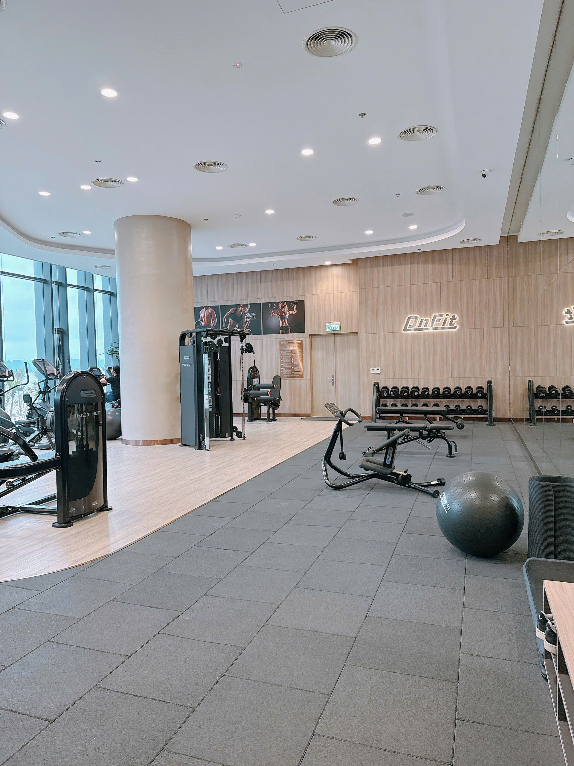 A modern gym with various exercise equipment, a large exercise ball, and a wall-mounted dumbbell rack.