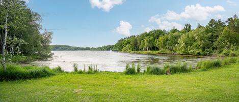 A serene lakeside view with a grassy foreground and dense trees in the background.
