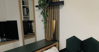 Zentrales Studio, nur 5 Geh-Minuten von der Gondelstation entfernt.