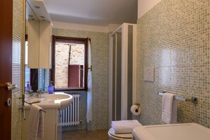 Shower, hair dryer, bidet, towels