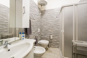 Shower, hair dryer, bidet, towels