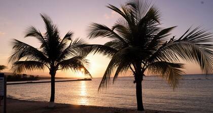 3-bedroom Gated Beachfront Villa with Pool- Luxury & Security. Pet-Friendly!