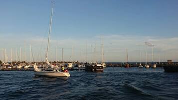 经典独立别墅, 3 间卧室 | 水景