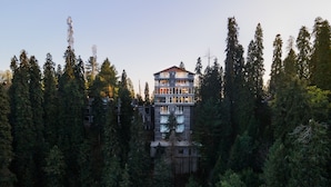 A multi-story building surrounded by dense forest, with visible balconies and windows. - EAFR Hotel (Nathia Gali)