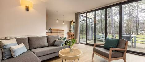 Télévision, cheminée, table de tennis de table