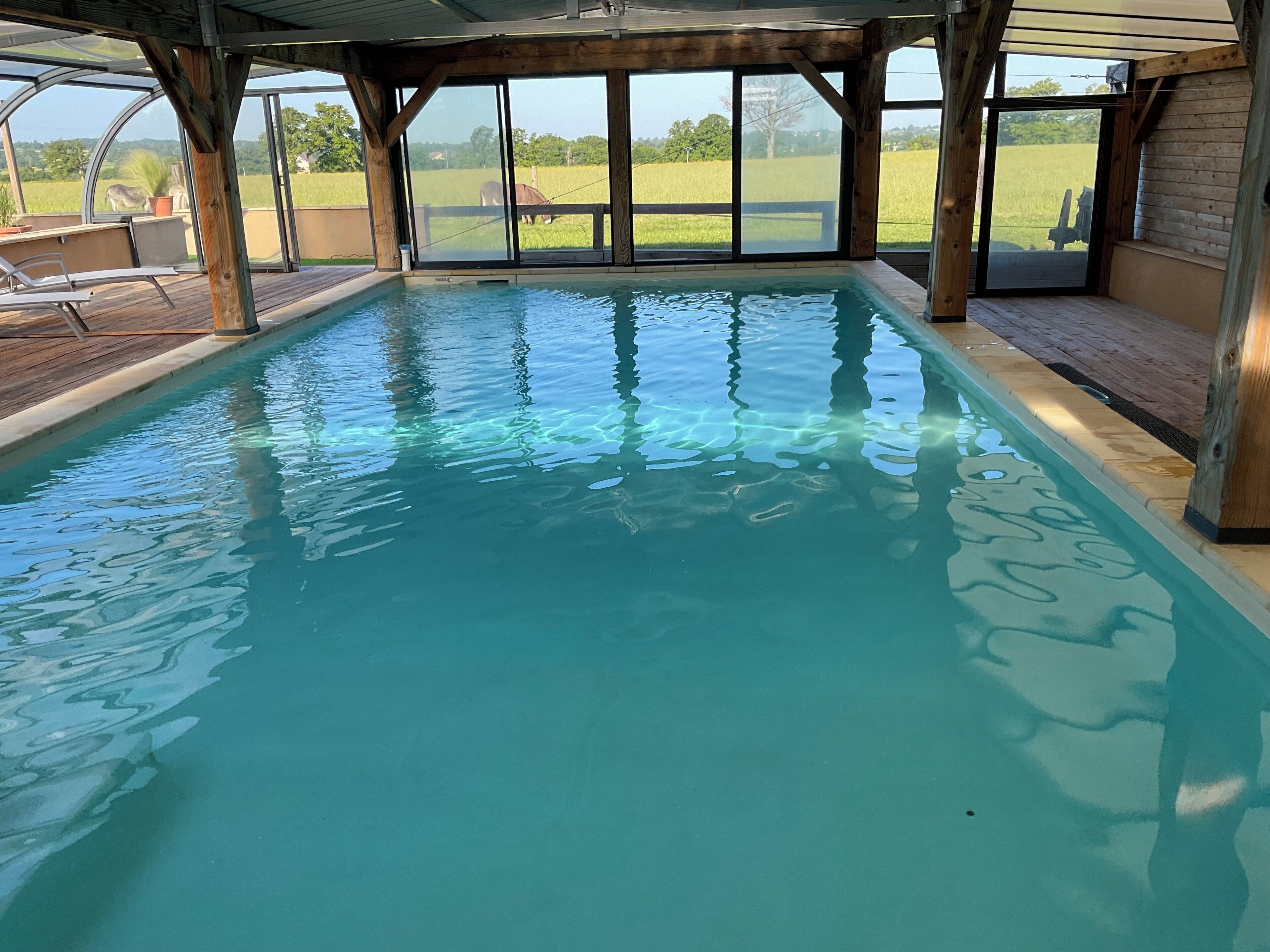 Une piscine intérieure à l’eau claire, dotée d’une terrasse en bois et de grandes fenêtres offrant une vue sur un champ verdoyant.
