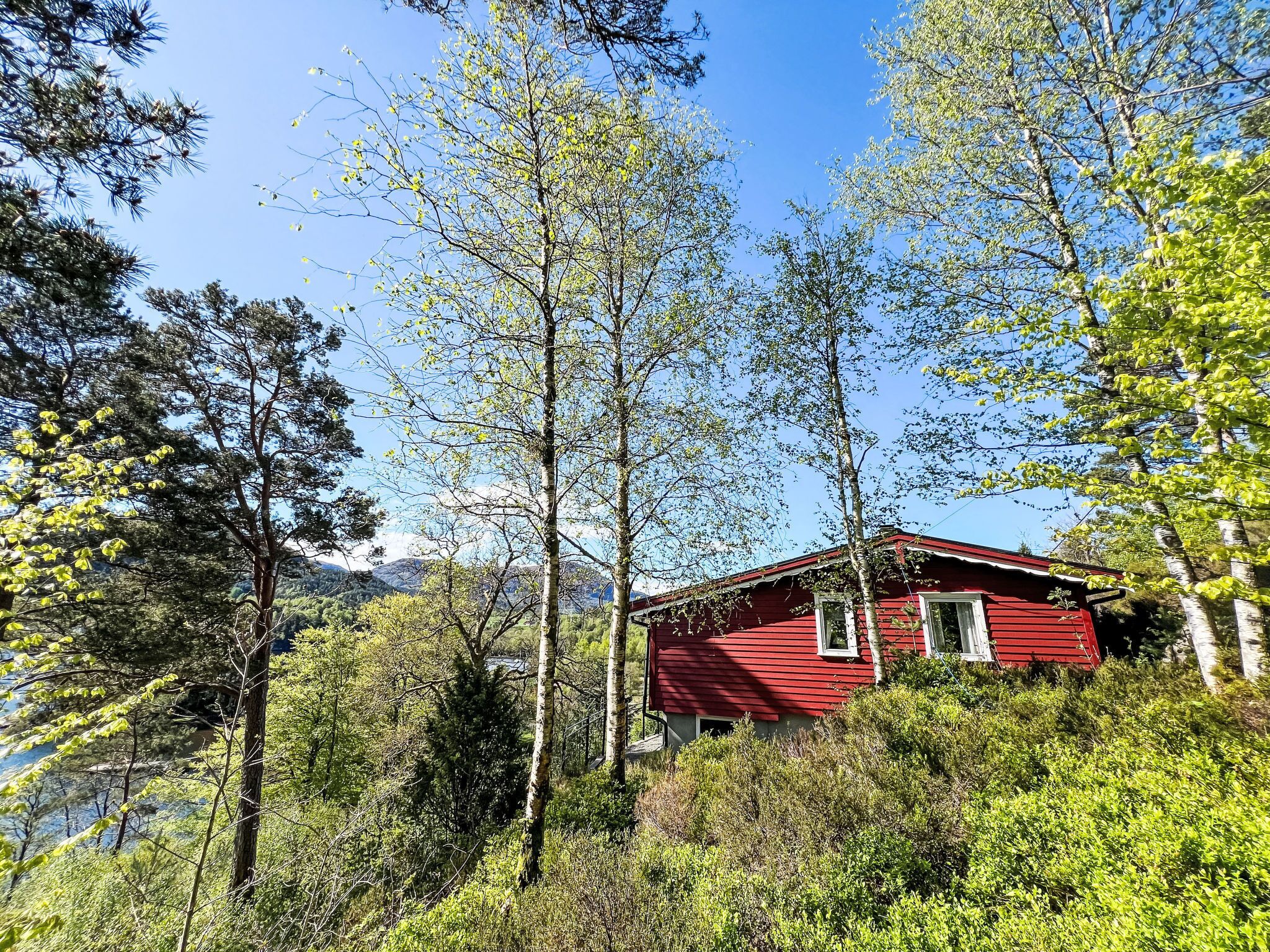 A red cabin surrounded by dense forest and mountains.