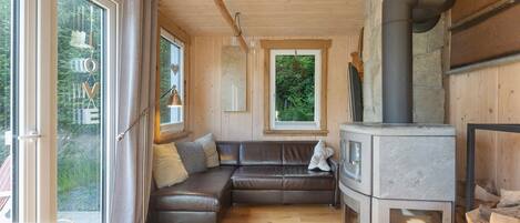 Télévision, cheminée