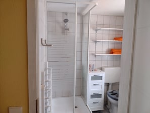Shower, hair dryer, towels