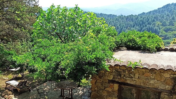 Edifici de pedra amb teulada aïllada, envoltat de vegetació abundant i arbres.