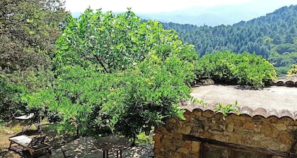 Mas pleine nature, proche riviĂšres et randos et attractions...