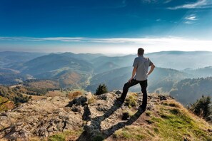 Miscellaneous - Holiday Apartment "Waldglück" with Mountain View, Pool, Sauna and Wi-Fi (Hinterzarten)