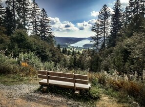 Property grounds - Holiday Apartment "Waldglück" with Mountain View, Pool, Sauna and Wi-Fi (Hinterzarten)