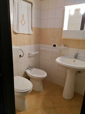 Shower, hair dryer, bidet, towels