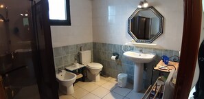 Shower, hair dryer, bidet, towels