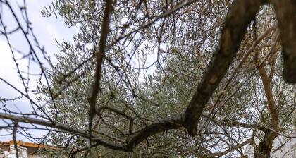 Ioulia’s Cottage by Nomads