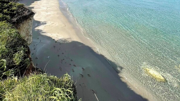 Ein Strand mit klarem türkisblauem Wasser, Sandküste und einer Klippe mit Vegetation.