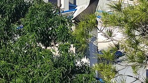 A modern building with a flat roof, surrounded by greenery and overlooking a body of water with a distant town and hills. - Villa Mariza at Aiantio (Salamina)