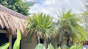 A thatched-roof structure with a garden in front, including large-leafed plants and a palm tree. - Alfa Kuta (Kuta)
