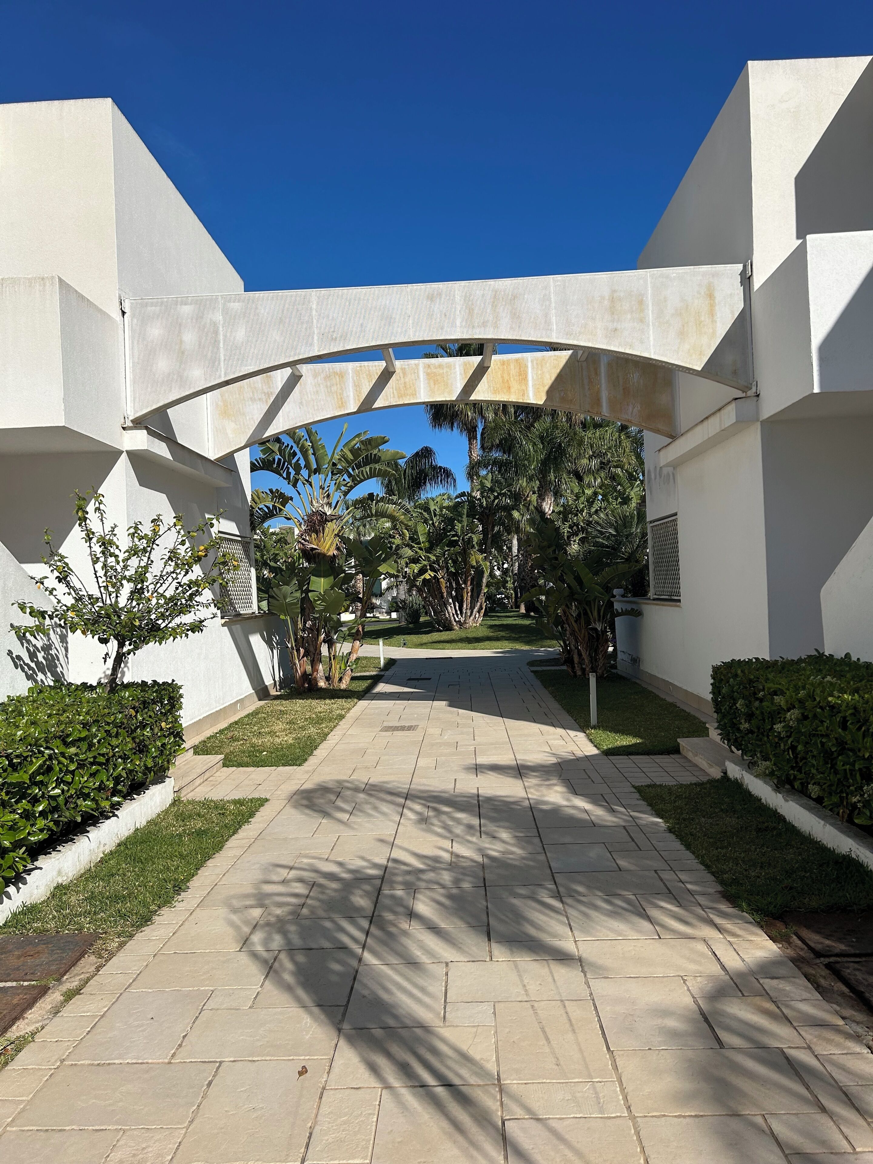Un camino serpentea a través de un edificio moderno con arquitectura geométrica, rodeado de follaje cuidado y palmeras.